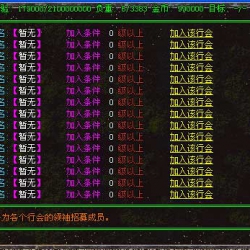 多行会招募榜传奇展示功能NPC-Gom引擎